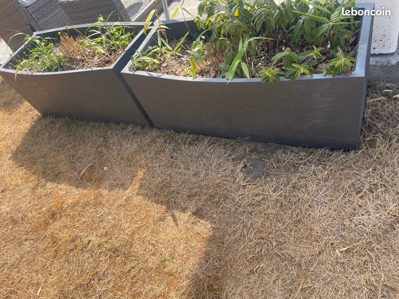 Bacs à plantes (image 1)