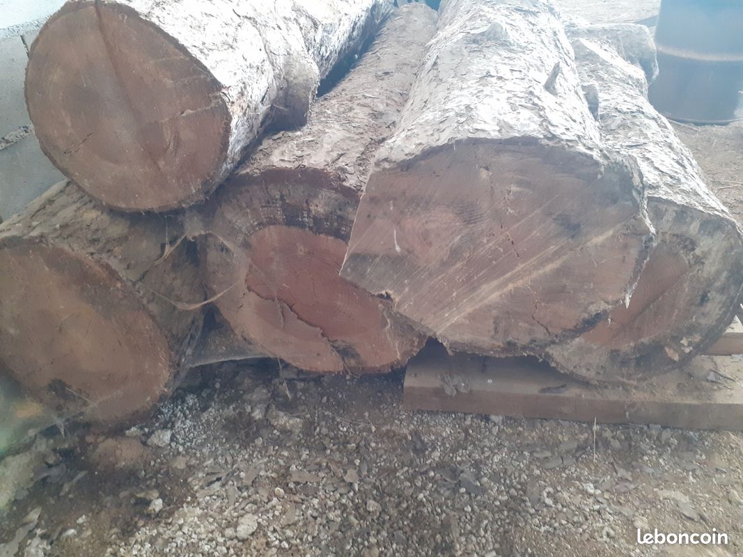 Bois (image 3)