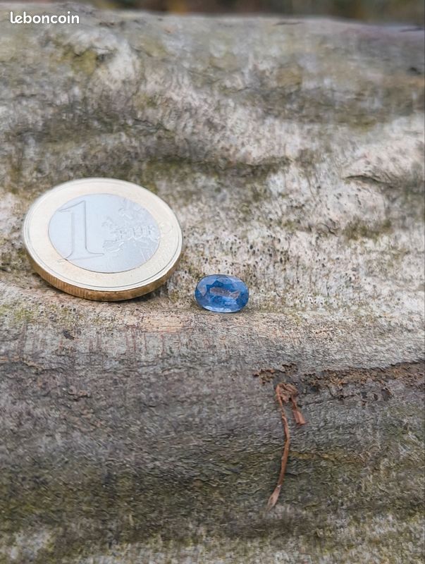 Pierre précieuse non sertie rre sphir bleu tille ovle de 1,43 crt certifiée pr le GR En