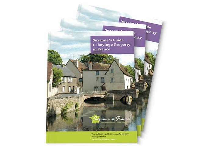 SUZANNE IN FRANCE Pro leboncoin