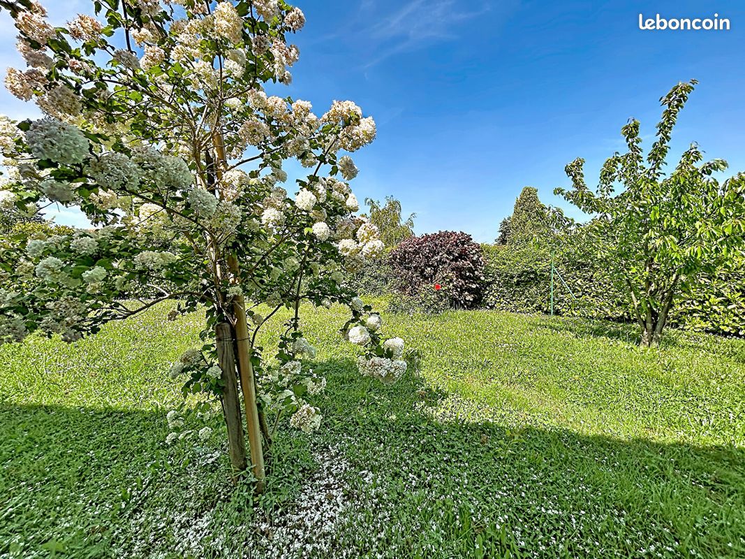 Maison 4 pièces 101 m² · à Auzielle · 101 m² · 345 000 €