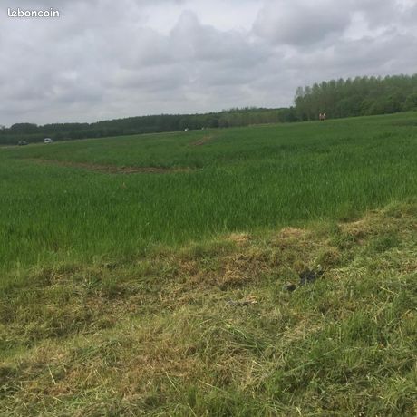Terrain 1 593 m² Awoingt