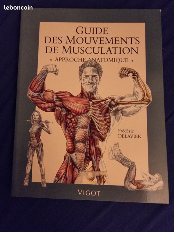 Guide des mouvements de musculation (image 1)