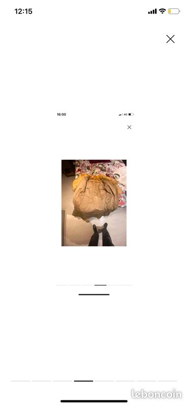 Manteau en fourrure (image 4)