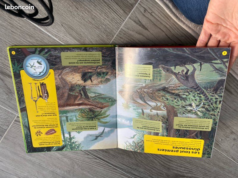 Livre dinosaure (image 9)