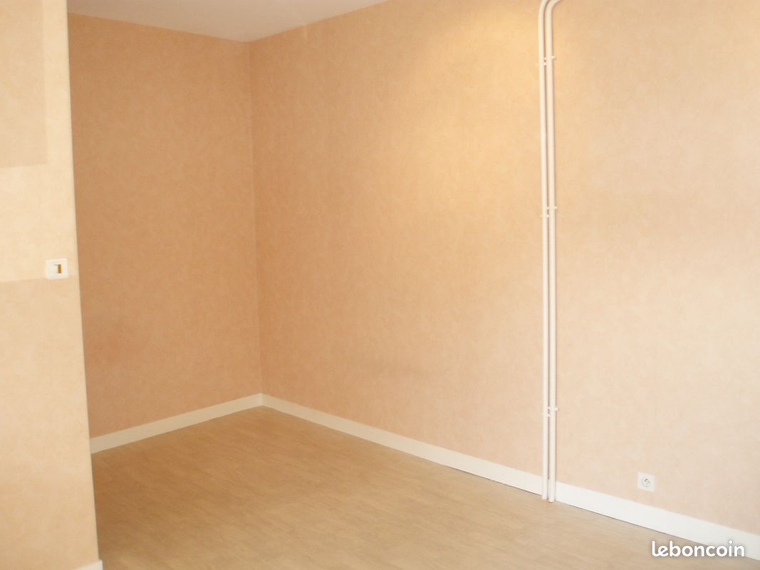 Studio à louer - Limoges 87000 Vanteaux-CHU-Mas Bouyol-Puy Rodas (image principale 0)