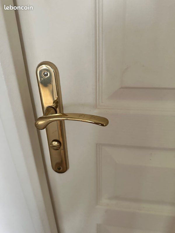 Poignées de Porte Dorée Inox (image 1)