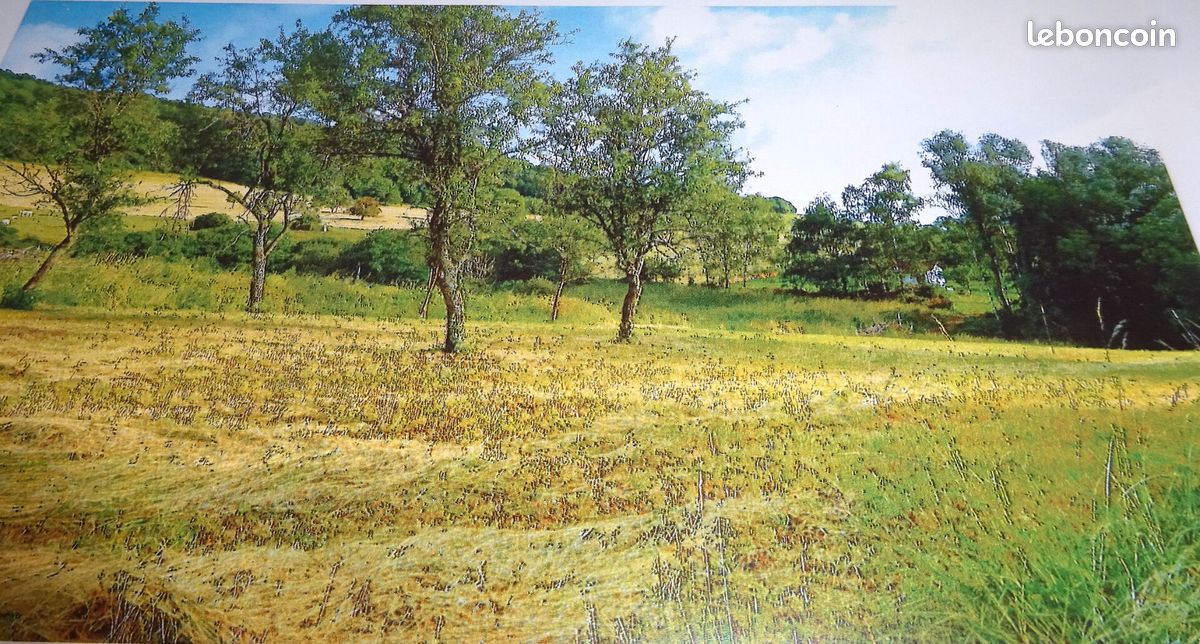Terrain 1976 m² · à Entrange · 1 976 m² · 314 500 €