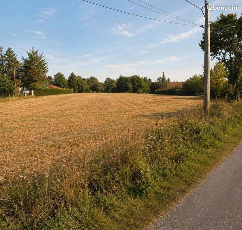 Terrain 1000 m² · à Poncins · 1 000 m² · 39 000 €