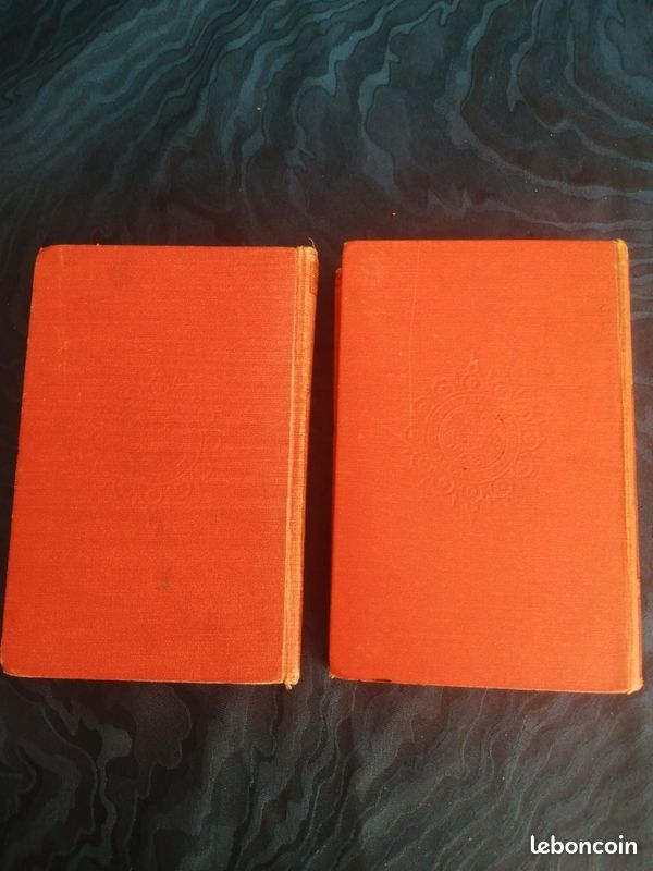 JULES VERNE collection Hetzel de 1922 et 1923. L'île mystérieuse I, II: les naufragés de l'air et l'abandonné (image 4)