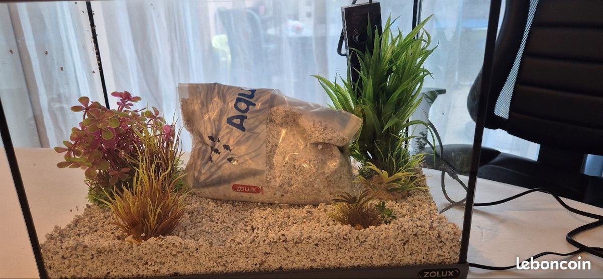 Aquarium (image 3)