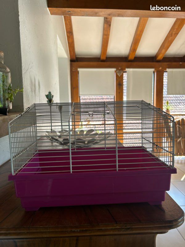 Cage à rongeur (image 1)