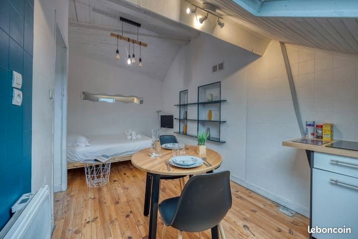 Appartement 1 pièce 20 m²