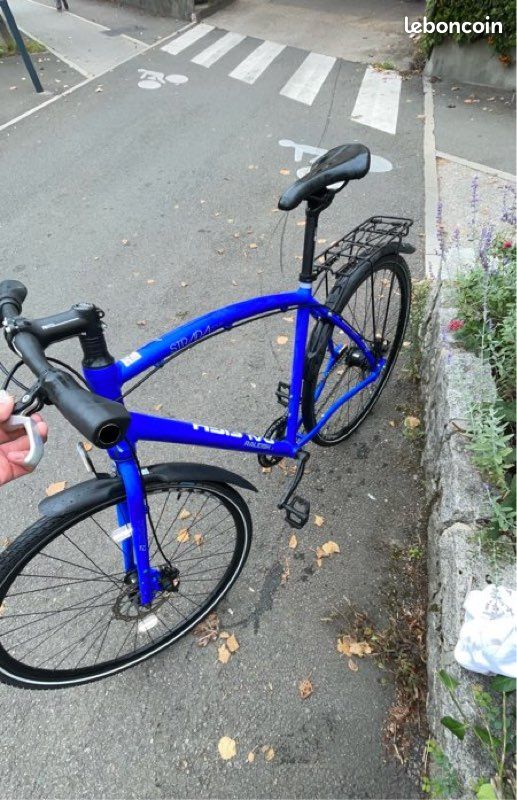 Vélo électrique Raleigh Dundee reconditionné