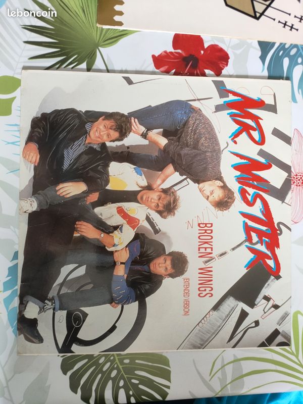 Vinyles 45 t et 33 t années 80 (image 16)