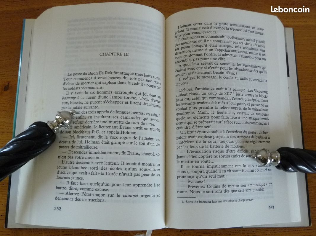 MOURIR AU LAOS par Erwan Bergot (image 3)