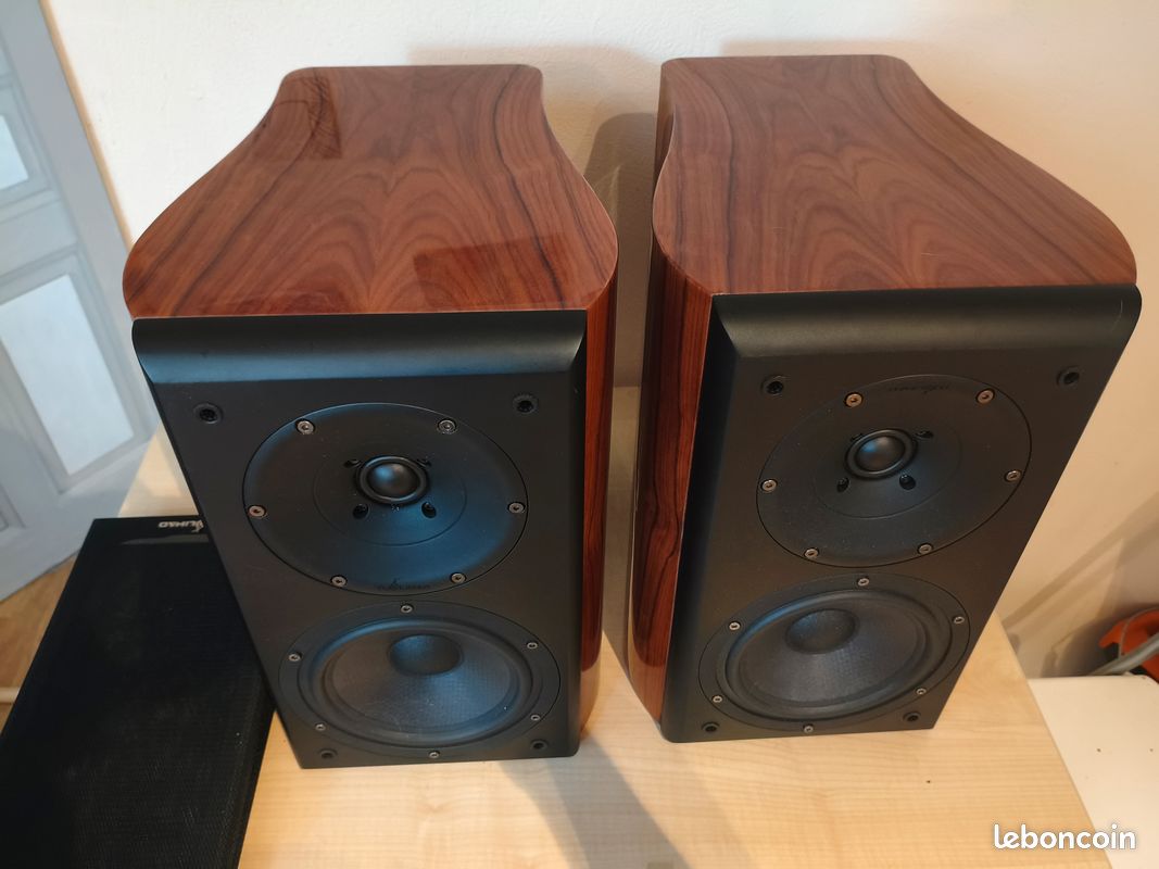 RARE - Paire d'enceintes audiophiles TUOLIHAO X6 (Urgent / Prix sacrifié) (image 1)