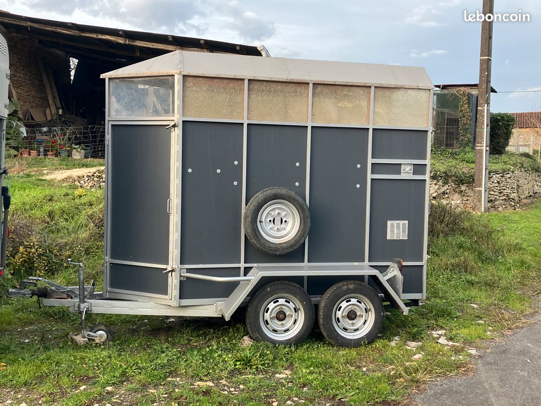 Place Occasion Van Place Pas Cher Horse Trailer Van Une Place Et