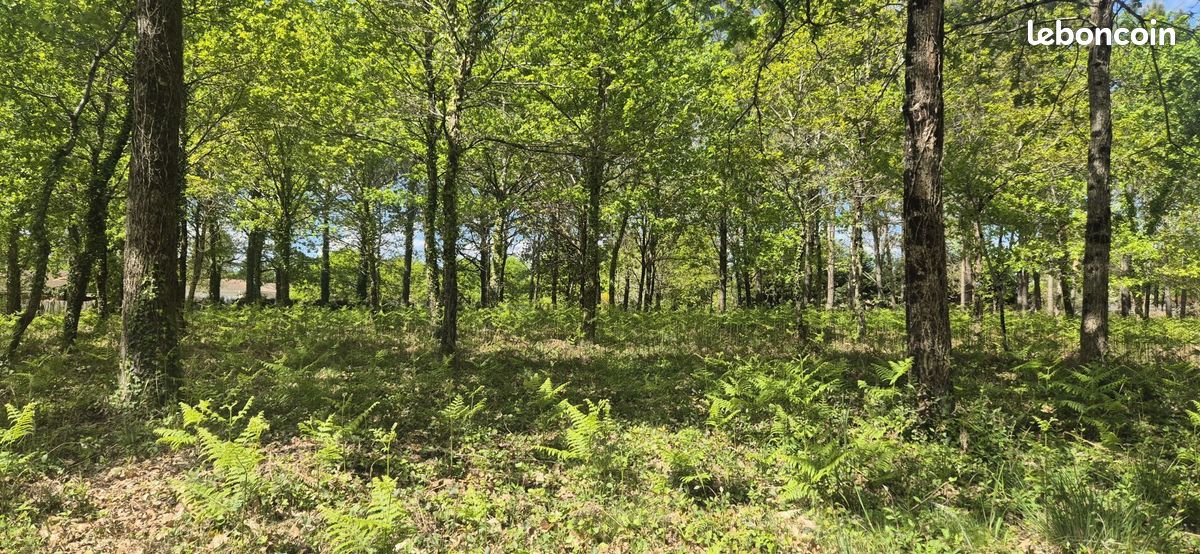 Terrain 578 m² Belin Beliet · à Belin-Béliet · 128 000 €