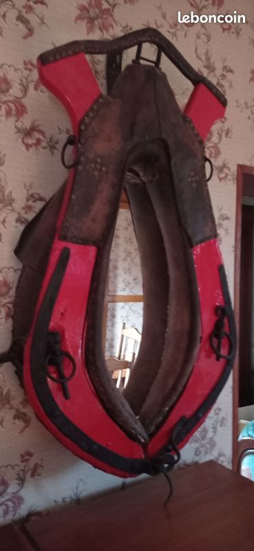 Collier de cheval (image 1)
