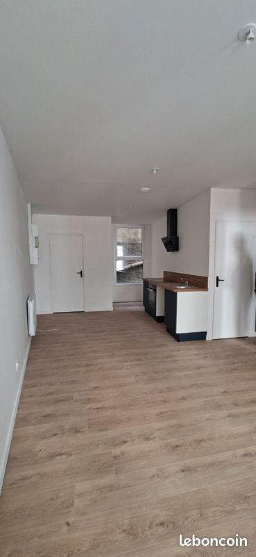Appartement 3 pièces 46 m² · à Saint-Étienne · 46 m² · 690 €/mois