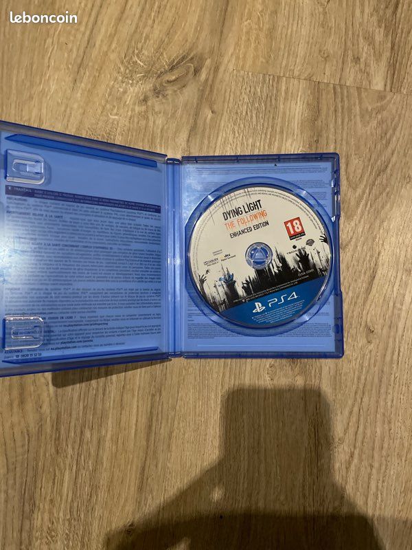 Dying light (image 2)