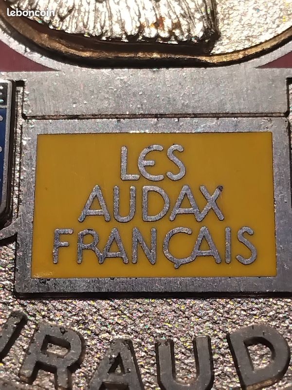 Magnifique grande Médaille sport cyclisme marche les Audax français EurauDax VAL D’OISE 95 aigle 100 km vintage rétro ancien années 80 1980s (image 7)