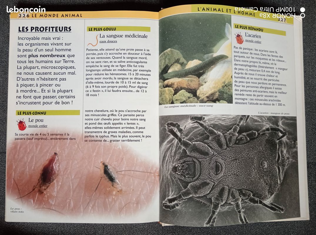 Droles de records (image 4)