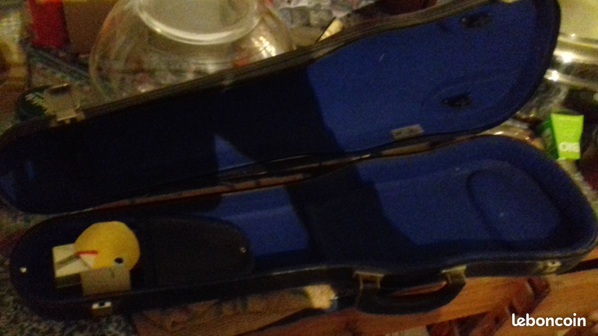 Étui violon (image 2)