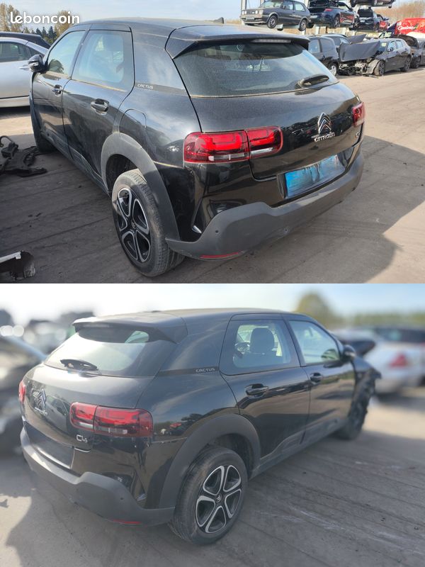 Pro Citroën C4 CACTUS 1.5L BLUE-HDI (image 1)