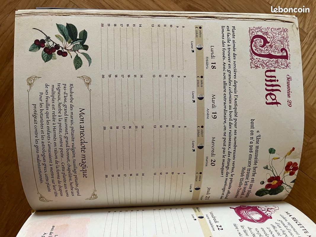''Mon Agenda de Sorcière 2022'', M. D'Hennezel, Rustica Éditions (image 12)