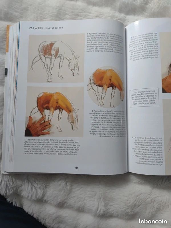 Le grand livre des activités artistiques (image 8)