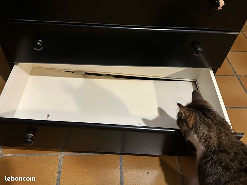 URGENT donne commode noire (image 4)