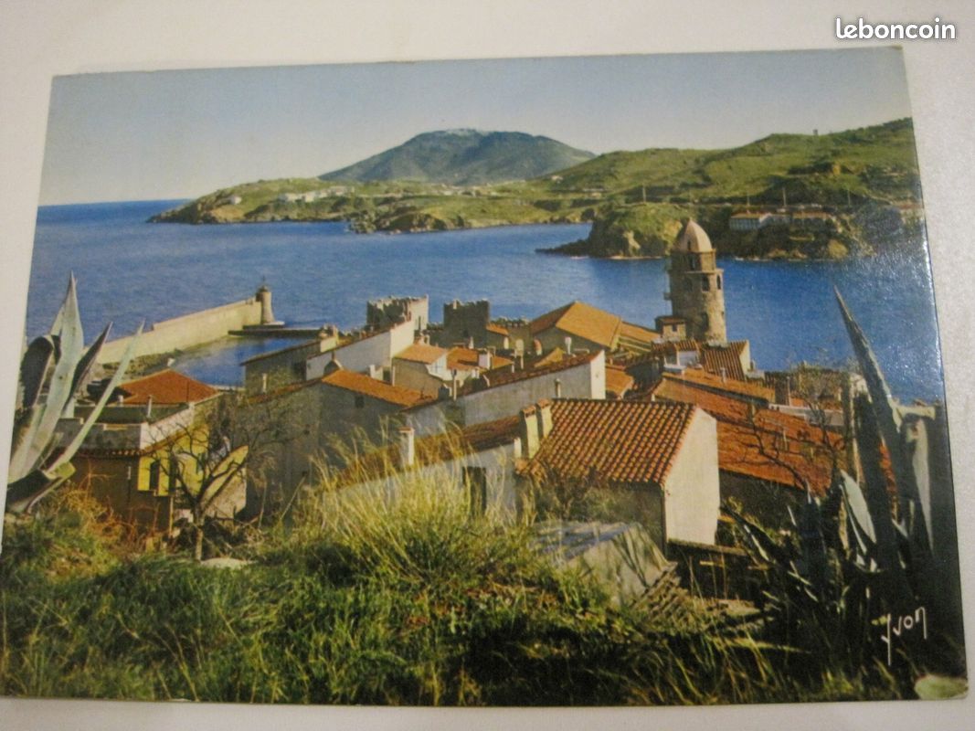 Carte postale 66 pyrenees orientales collioure vue generale (image 1)