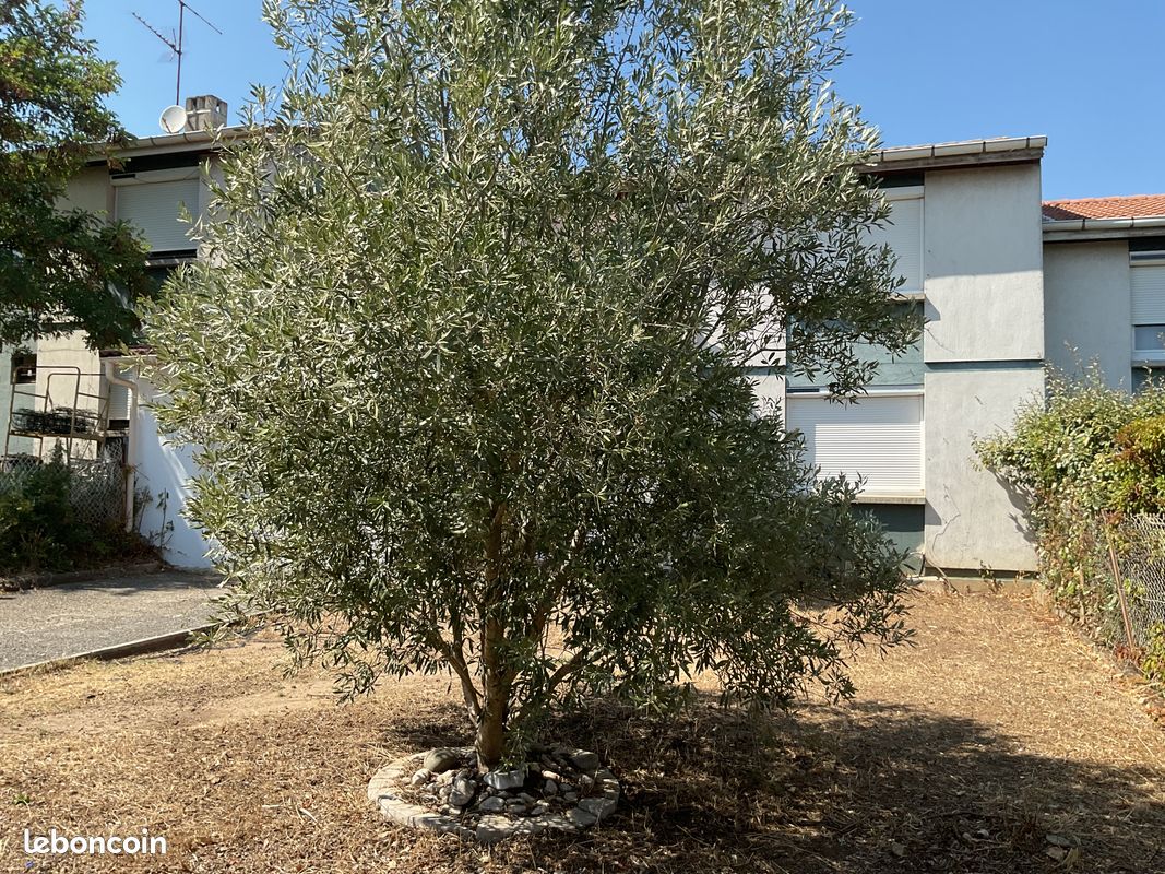Maison 5 pièces 108 m² · à Saint-Marcel-lès-Valence · 108 m² · 247 000 €