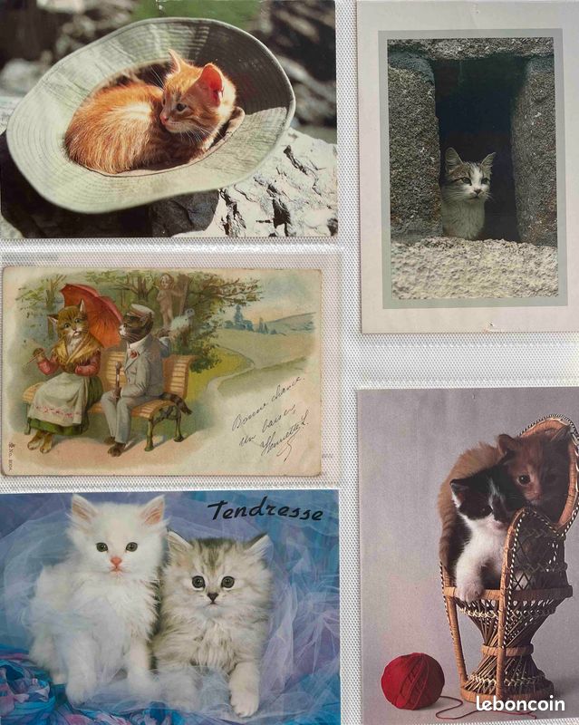 LOT DE CARTES POSTALE HUMORISTIQUE ANIMAUX CHIEN ,CHAT ETC. N° 20