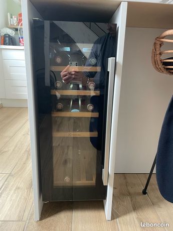 Cave à Vin Electrolux 100 Bouteilles – Thermoélectrique – Modèle ERC 38800 WS