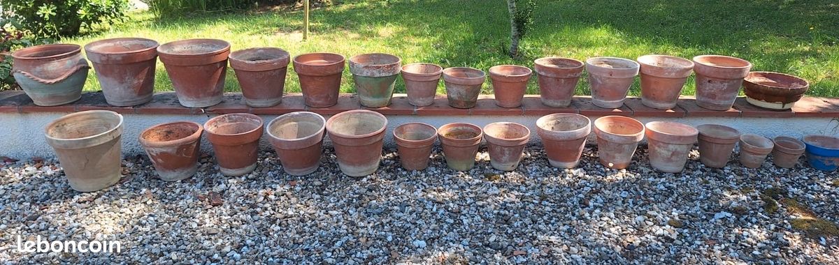 Lot de vases (image 1)