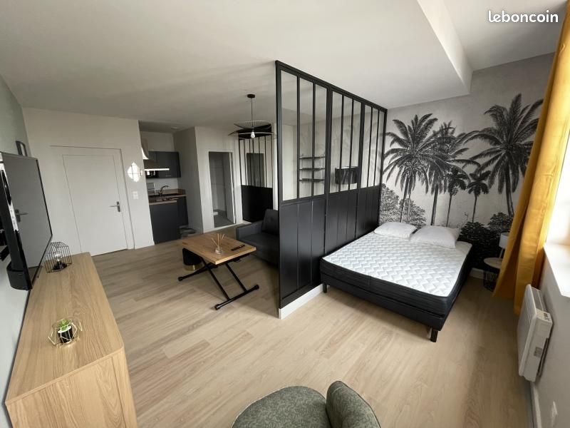 Appartement 1 pièce 38 m² - Limoges 87000 (image principale 1)