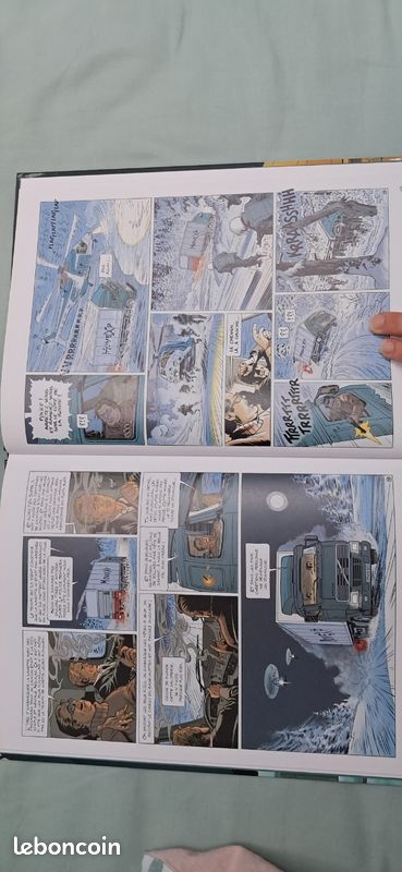 BD Lady S (image 5)