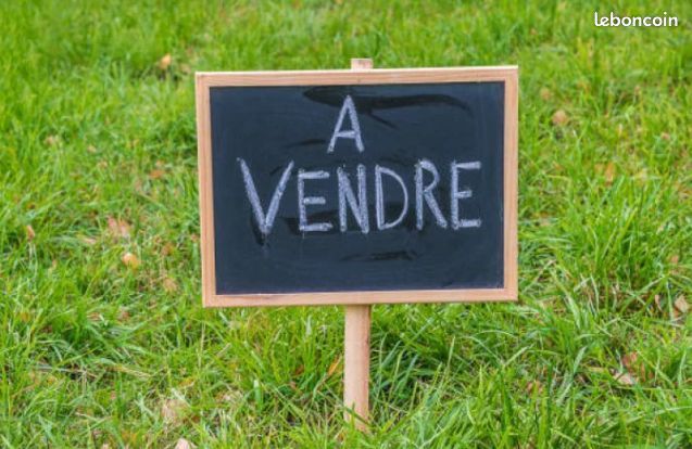 https://img.leboncoin.fr/api/v1/lbcpb1/images/05/d3/14/05d3142354221b236f19e1493a05ca79c06f577b.jpg?rule=ad-image