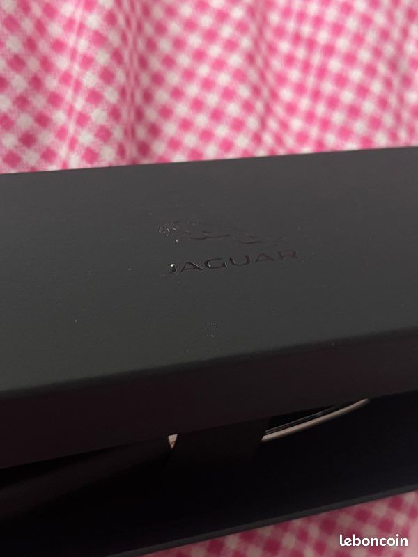 Stylo Jaguar x CROSS (image 2)