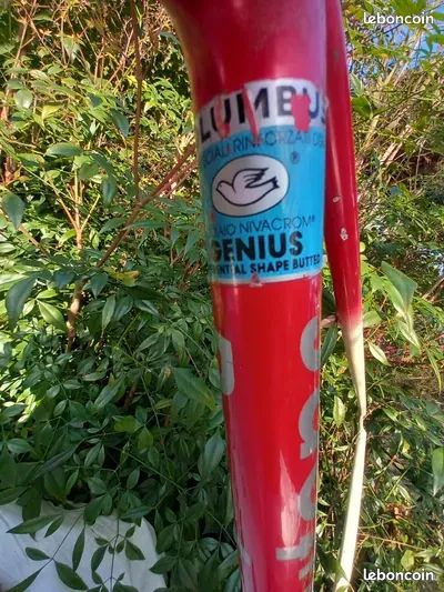 Cadre Vélo Course Vintage CHESINI / GIPIEMME - Acier Columbus - Taille 58 Cm - Or