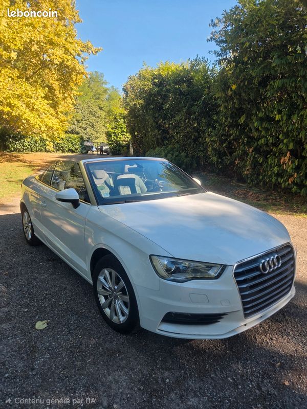 Audi A3 cabriolet de 2016 (image 3)
