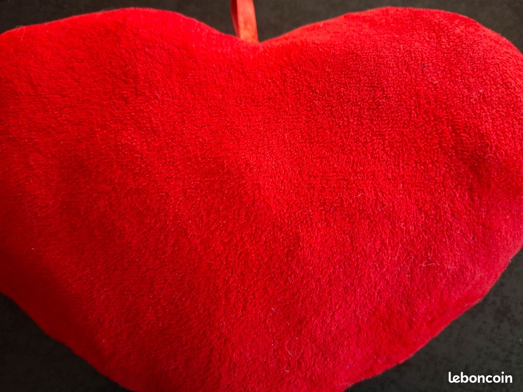 Coussin cœur (DitouG3E) (image 5)