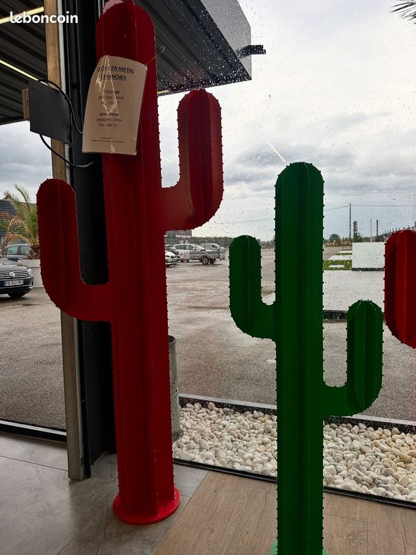 Cactus jardin décoration (image 1)