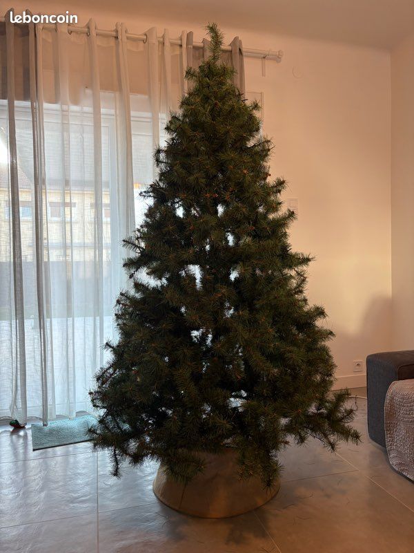 Sapin de Noël (image 2)