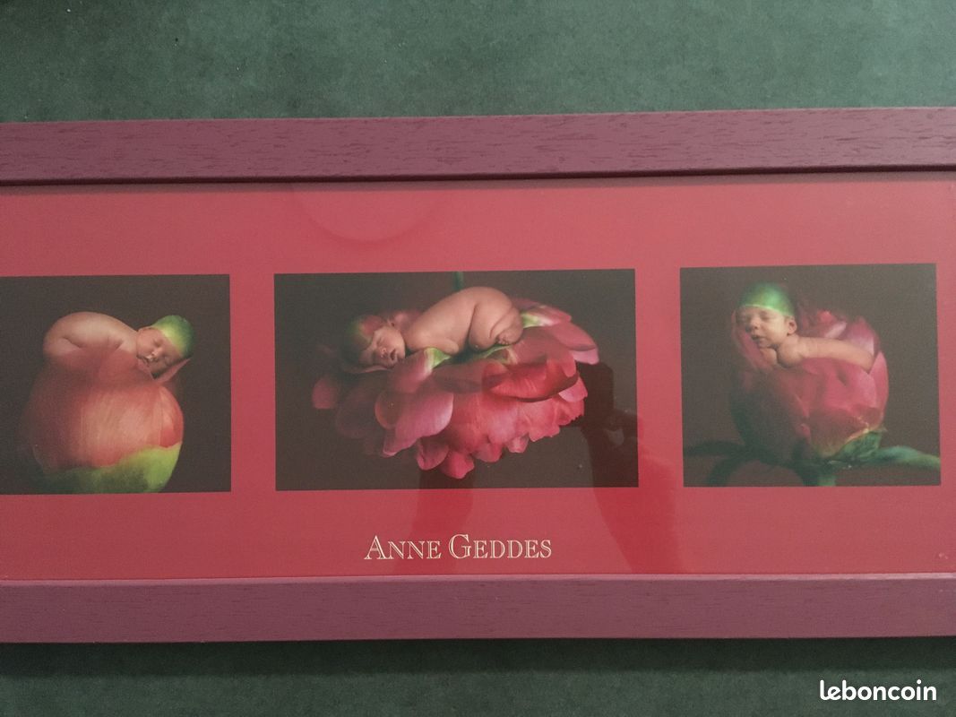 Lot 3 cadres photos Anne GEDDES bébé (image 1)