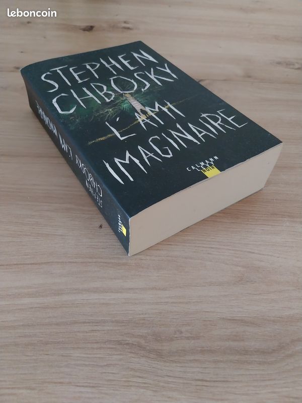 'L'ami imaginaire' Stephen Chbosky (image 2)