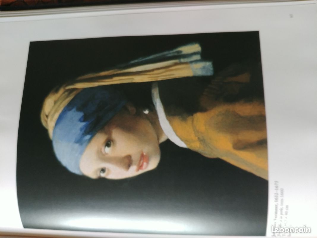 Le. Mauritshuis (image 7)